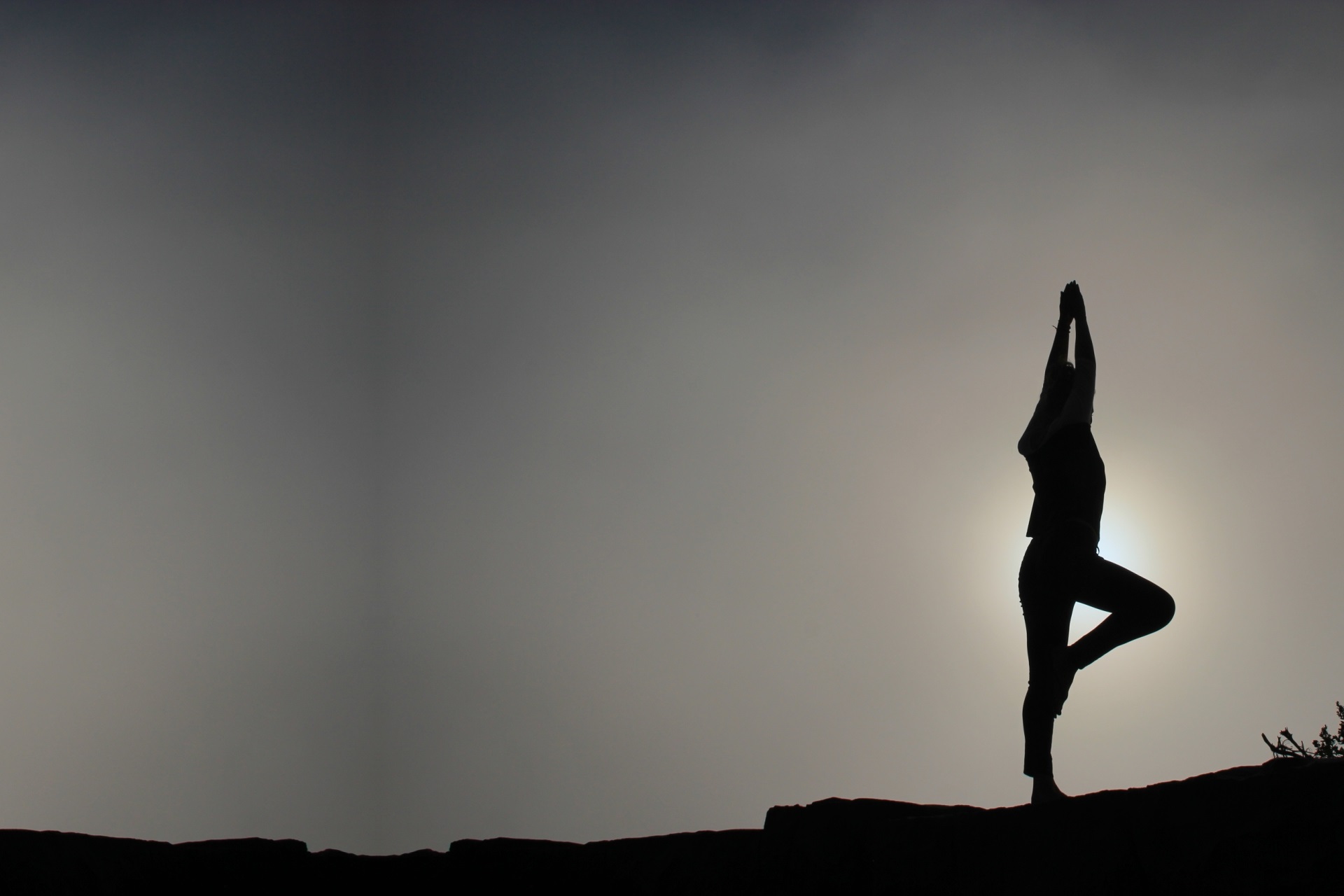 Journée internationale du Yoga